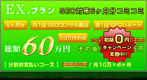 EX.プラン（6ヶ月分） ｜ 総額60万円