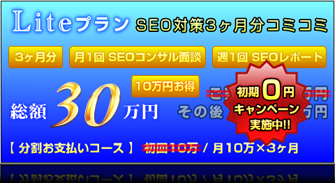 Liteプラン（3ヶ月分） ｜ 総額30万円