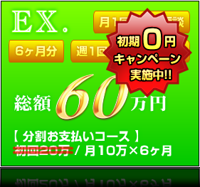 EX.プラン（6ヶ月分） ｜ 総額60万円