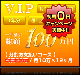V.I.Pプラン（1年分） ｜ 一括割引 総額100万円