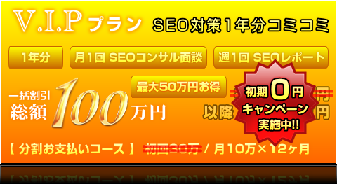 V.I.Pプラン（1年分） ｜ 一括割引 総額100万円